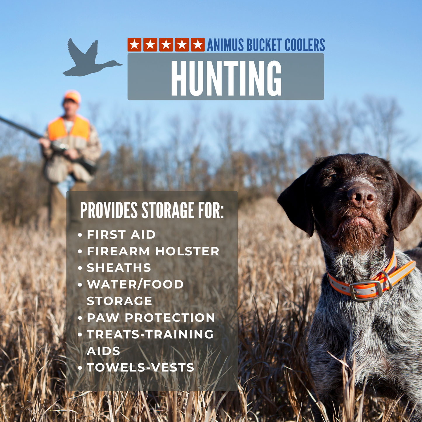 Animus Work, Fishing, Hunting & Recreation coolers